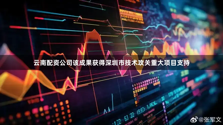 云南配资公司该成果获得深圳市技术攻关重大项目支持